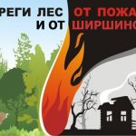 Плакат: Береги лес от пожара и от Ширшиной