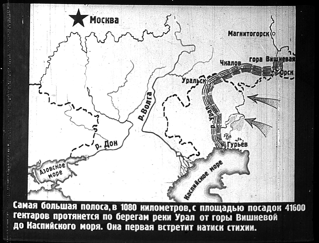 Проект лесополосы по берегам реки Урал 